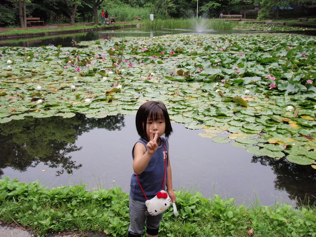 �r�̑O_�k��C�`���E����