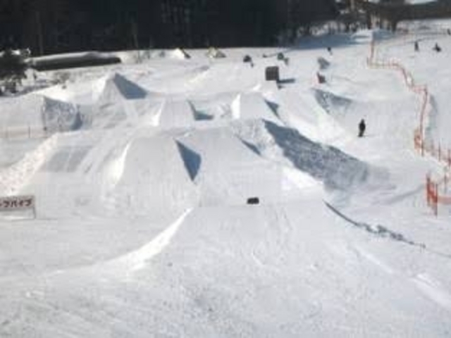 �c��X�L�[��