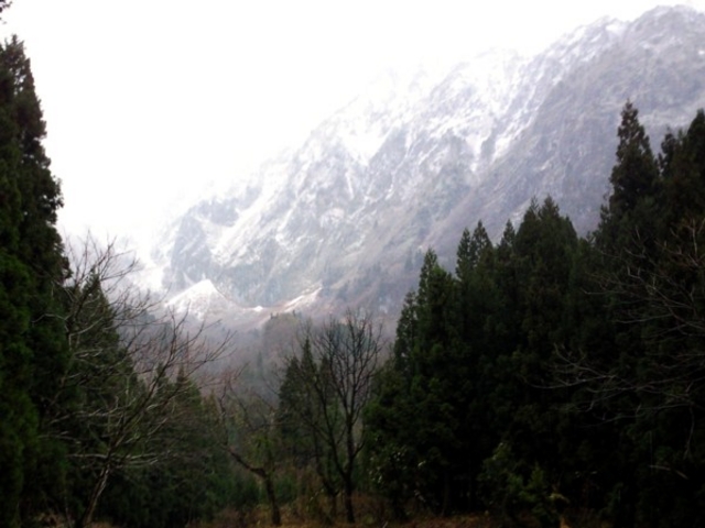 ������C������