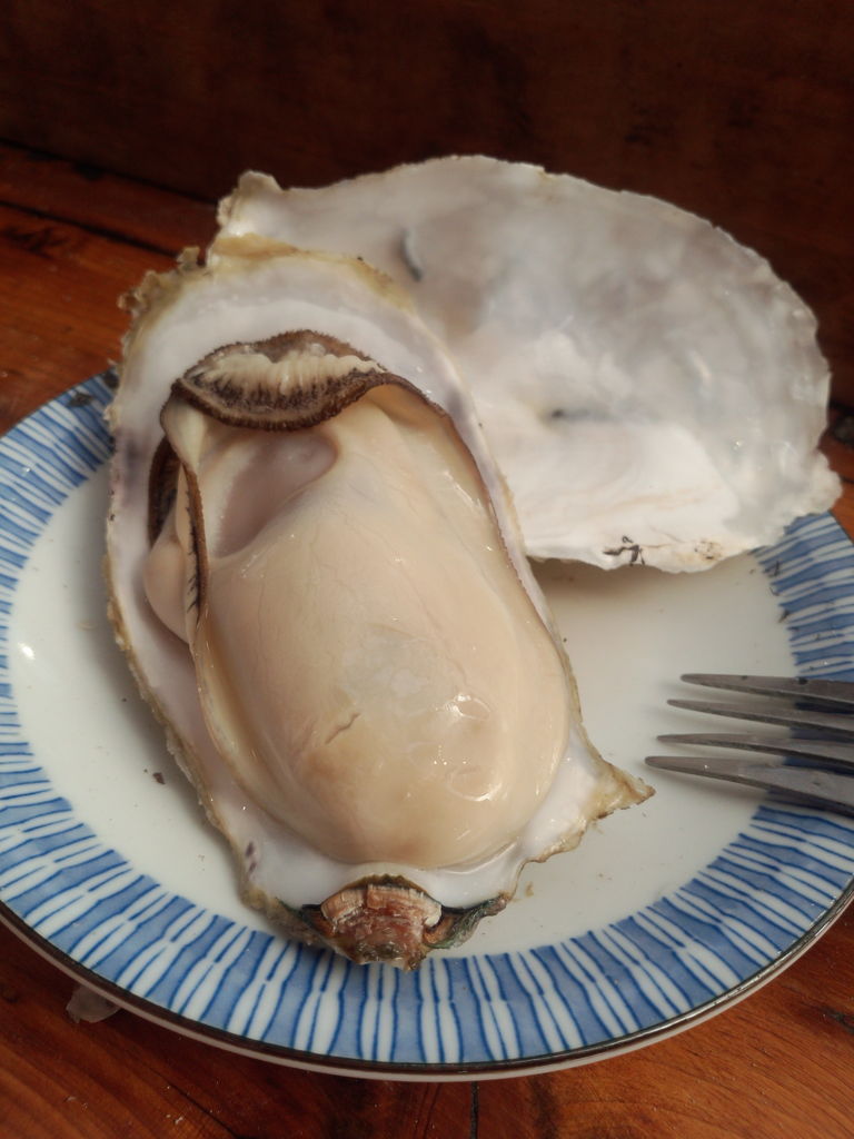 伊福甲の観光スポットランキングtop7 じゃらんnet