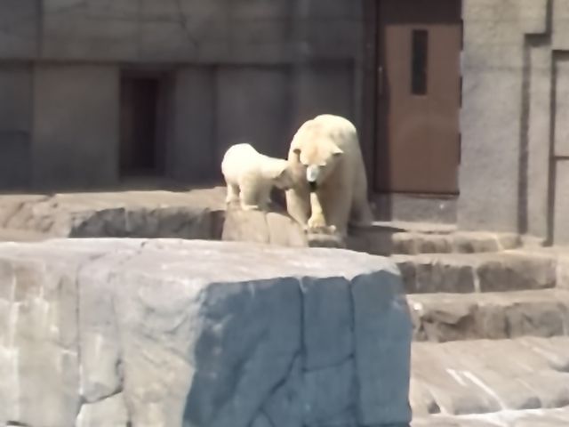 �~�R������