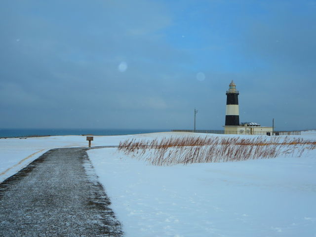 �N�����Ȃ��E�E�E_�\�斦�C��