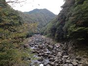 �C����̒��勬�^���݂��̓��e�ʐ^1