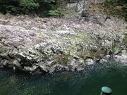 �C����̒��勬�^���݂��̓��e�ʐ^2