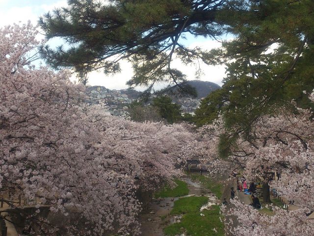 �g��͐�~�Βn�i�g������j