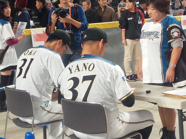 YaNo_��a�n�E�X�v���~�X�g�h�[��