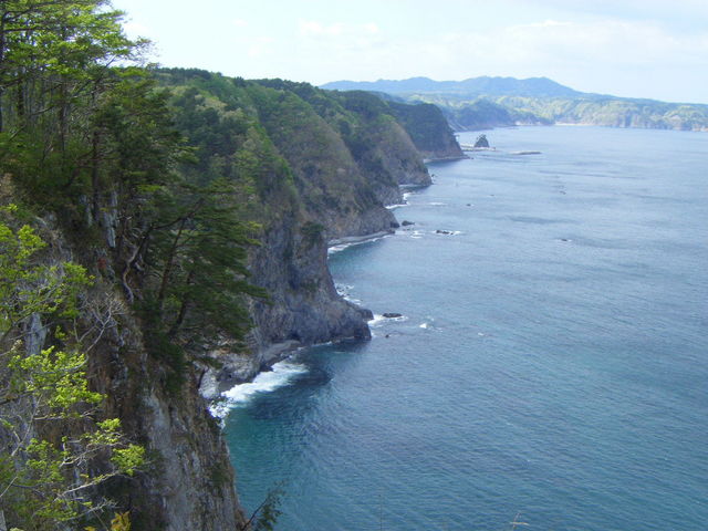 ���A�X���̊C�ݐ�_�L�̑��f�R