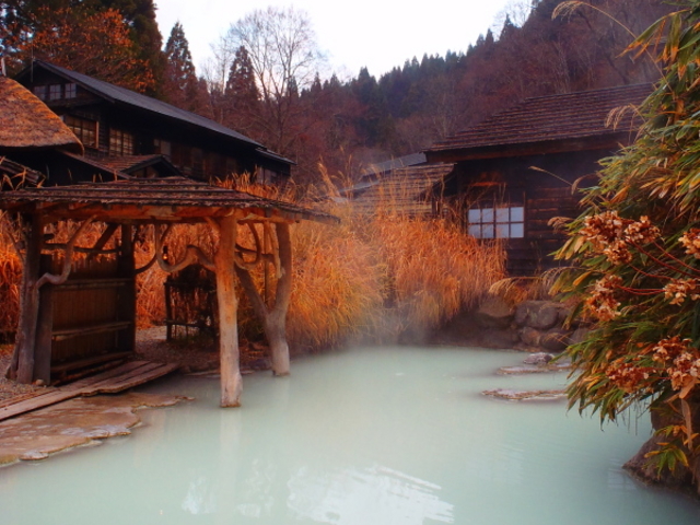 ̑IVC@ݐ؂œł܂B_߂̓