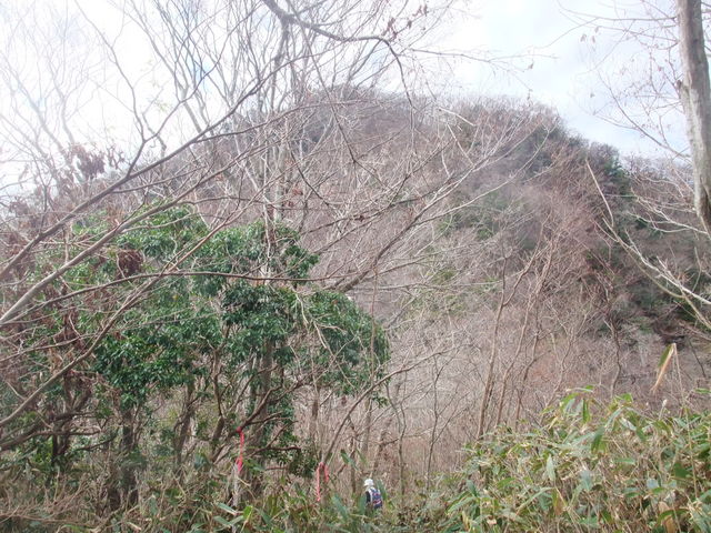 �n�_�x_�n�_�x