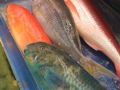 �݂΂��B����̑��q�u���ݎs��ւ̓��e�ʐ^1