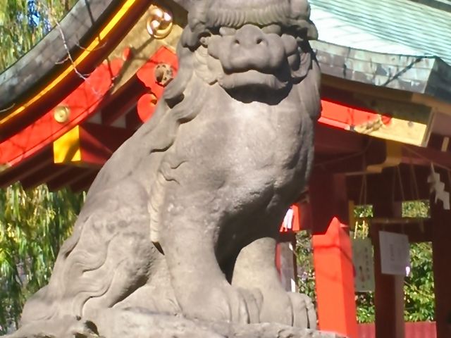 浅草神社さんの境内の『狛犬』。_浅草神社（三社さま）