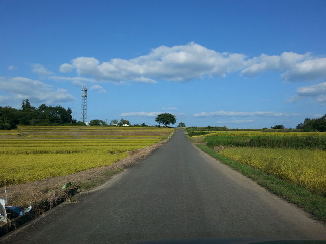 ����͔��ɂ̂ǂ��ȓc�����i���L����܂��B_�V�e������