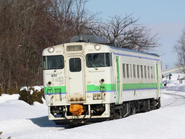�D�����ł����܂��B���S�̏h_����������