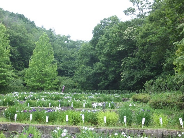 ɂ[B̎lĜ̗߁iҊj̓eʐ^1