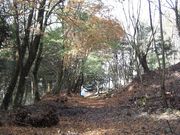 ނ炳񂳂̊pՂ̓eʐ^6