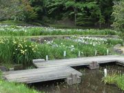 ɂ[B̎lĜ̗߁iҊj̓eʐ^2