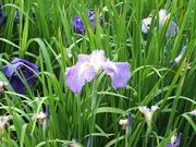 ɂ[B̎lĜ̗߁iҊj̓eʐ^3