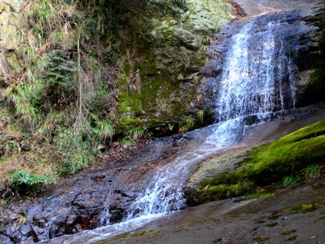 �����_��