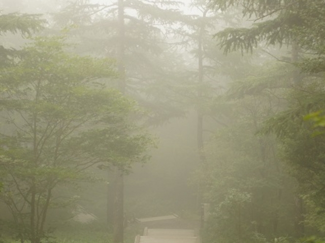 �����o�Ă��Ă��A�܂����z�I�ŃX�e�L�ł�_�����s���~�����L�X�Q�����n�@���~�������X�g�n�E�X