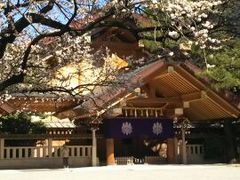 �M�c�_�{�̎ʐ^1