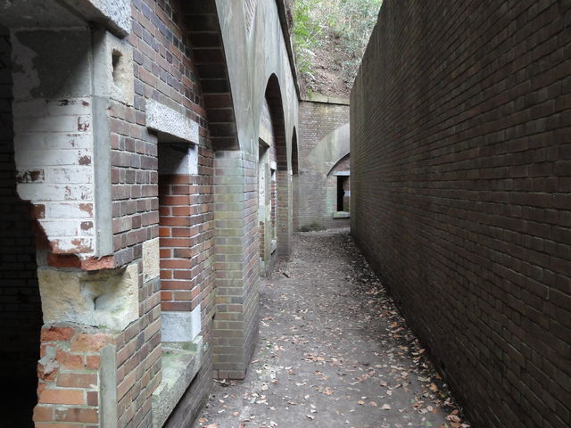 �ǂ����s�u�ł݂��悤�ȕ��i_�x�ɑ��I�B����