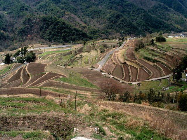 ��a�q�̉^�����ς�������R�疇�c_����������