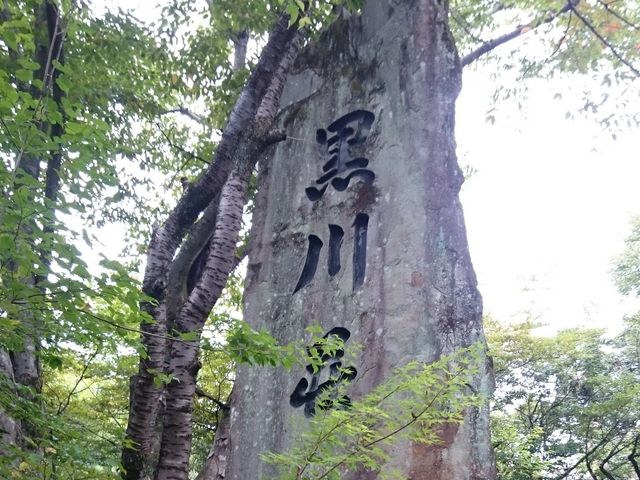 heroyuki̍쑑̓eʐ^2