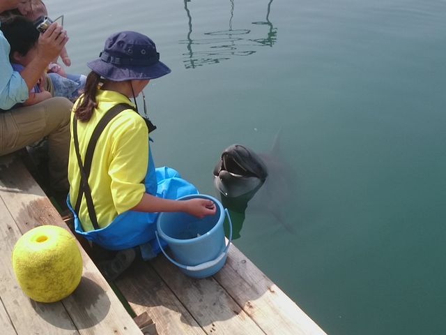 ق̂ڂ̂ƂCJV[_CكV[h[ic