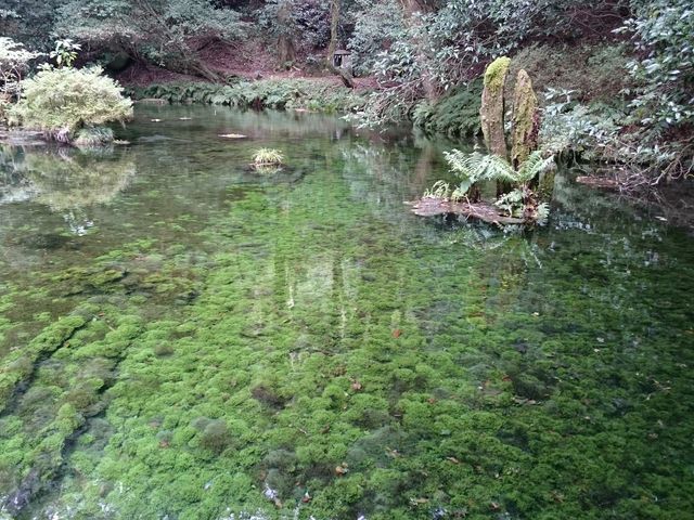 ���ɔ������ł�_�r�R����