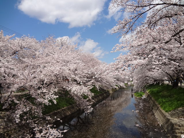 �܂�݂���̌܏���̍��̓��e�ʐ^1