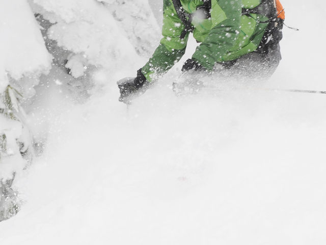 ����R�X�L�[��_�u�ꍂ������R�R��