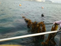 ̂̂AoAwo Naruto Resortւ̓eʐ^1