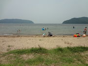 Ђ낳̋xɑ ߍ] ق̓eʐ^2