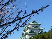 ߋT|~̖É̔~̓eʐ^3