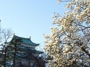 ߋT|~̖É̔~̓eʐ^6