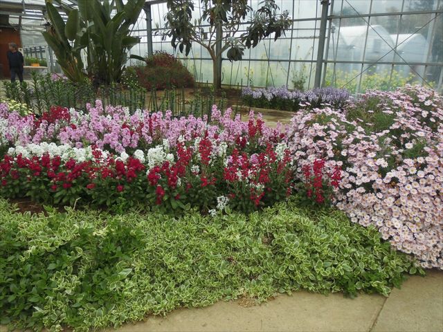 ���͂�_���̉w �����̗��ԋ�y��