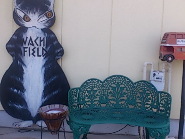 �͌��Ζ؃m�Ԕ��p��