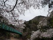 ςσ{[_[̐쌴I[gLv̓eʐ^1