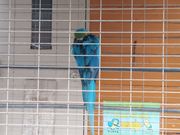 masa1978̑͌aӂꂠL̓eʐ^1