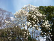 maru̐tsssΉA̓eʐ^1