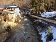 Ȃ݂Ђ񂳂̗򎛉̓eʐ^1