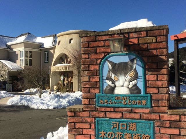 �؃m�Ԕ��p�ّS�i_�͌��Ζ؃m�Ԕ��p��