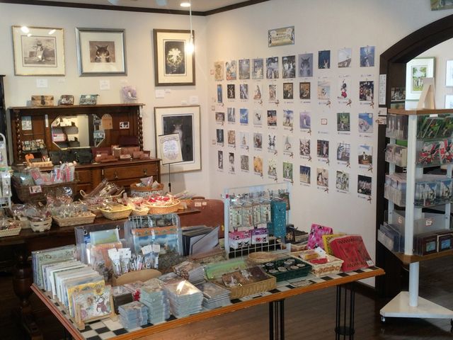 �_�����V���b�v�X��_�͌��Ζ؃m�Ԕ��p��