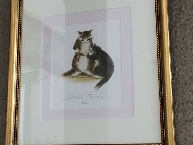 �ǂɊ|�����Ă����i_�͌��Ζ؃m�Ԕ��p��