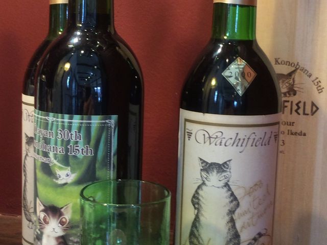 �_�����L�O���C��(�񔄕i)_�͌��Ζ؃m�Ԕ��p��