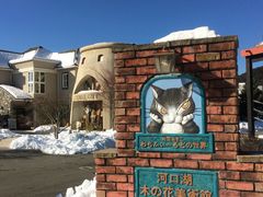 Core i-7̉͌Ζ؃mԔpقւ̓eʐ^1