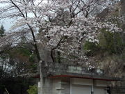 komỏFs{sJόē̓eʐ^1