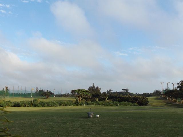 okapee33̐cJg[Nu̓eʐ^1