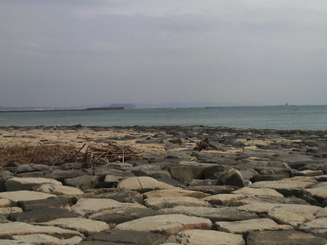 ������̖����C�݂���]�m�����ʂ��ʂ��B����Â炢�ł������ڂ�����ʂ��Ă��܂��B_���ڂ���