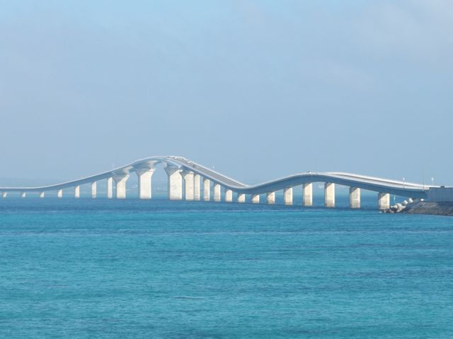 ɗǕ勴BgCAX̉ɂȂ܂B_ɗǕ勴